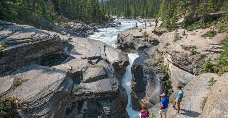 Nature Parks Opening Special Trails in June