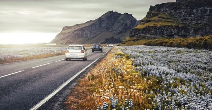 Weekend Road Trips Worth the Drive in June